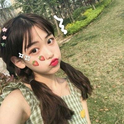 长毛狗