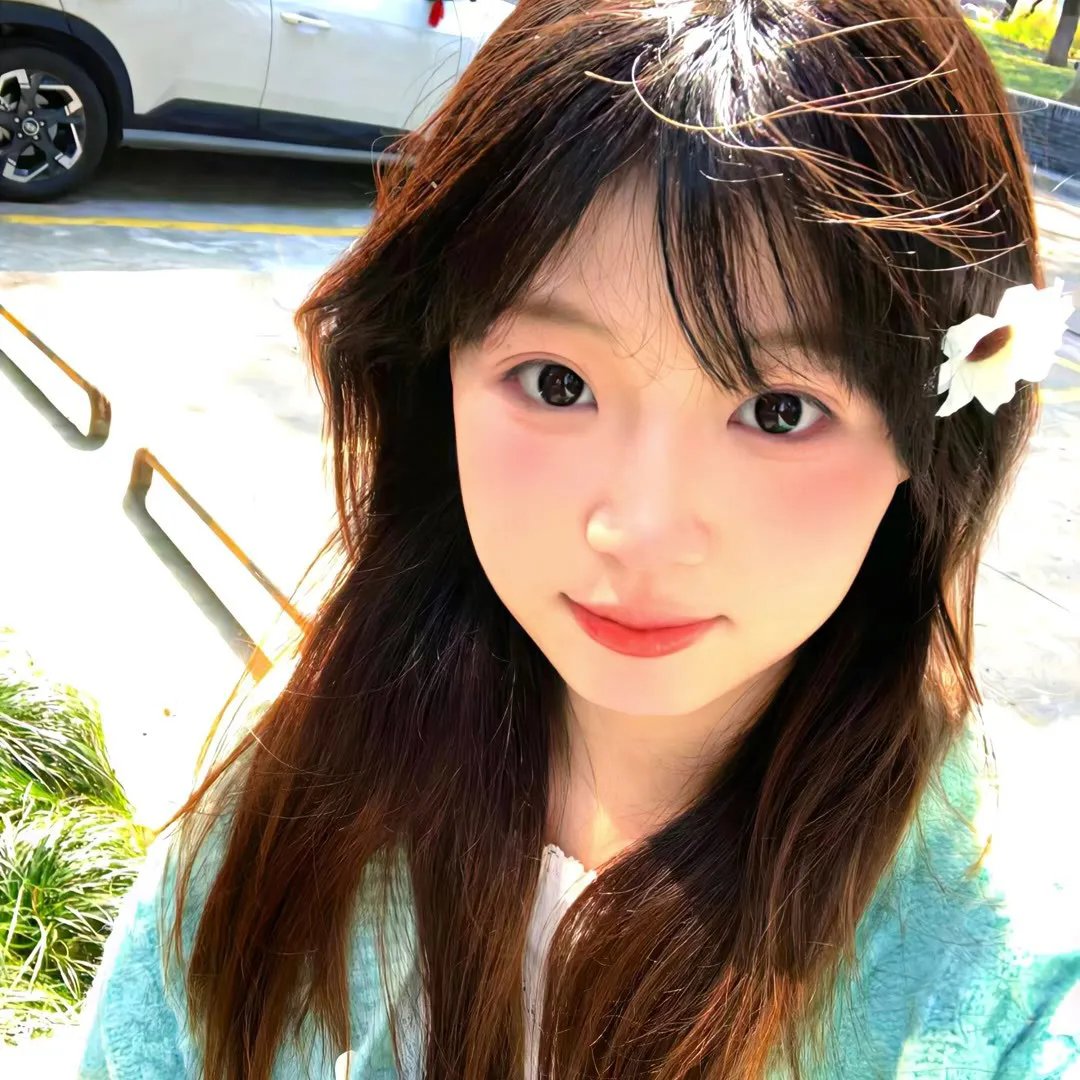 爱在飞